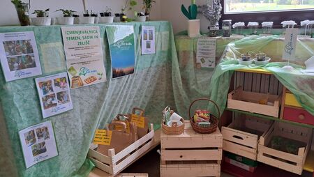 Otroci in odrasli vsakodnevno polnijo police s sadikami, semeni in zelišči. (Foto: arhiv vrtca)